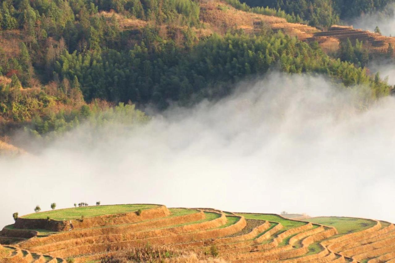 Rice View Villa Longsheng Exterior foto